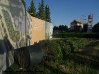 Imagine atasata: Openville - 2016.07.07- 03.jpg